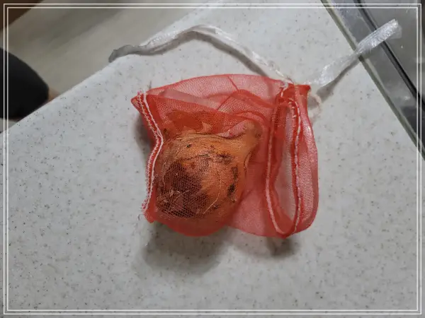 폐비닐-재활용-확대-양파망