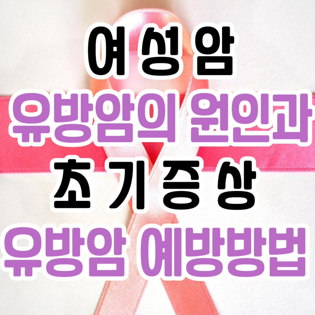 유방암/ 여성암/ 유방암의 원인과 초기증상/ 예방방법