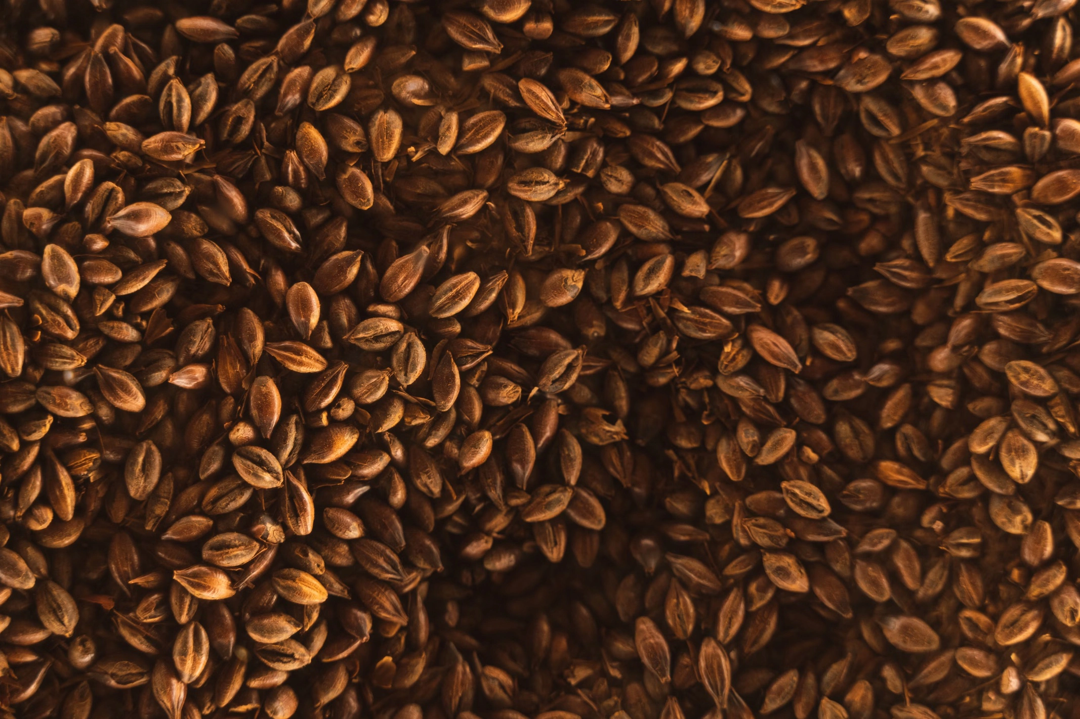 고지혈증에 좋은 음식