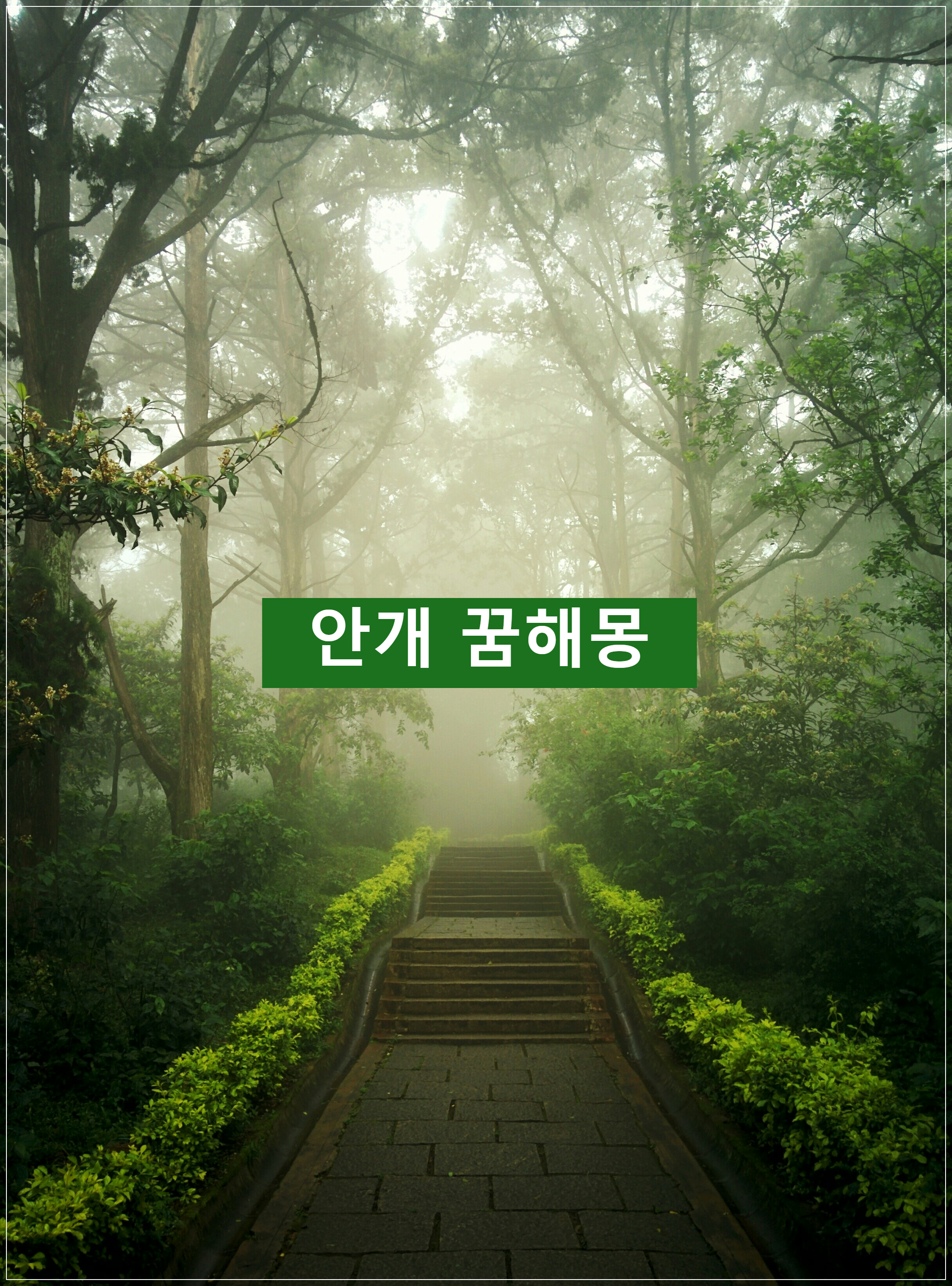 안개꿈, 안개 꿈해몽