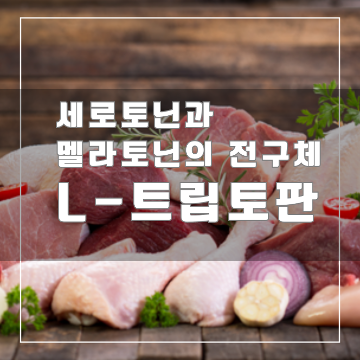 트립토판의 역할과 중요성