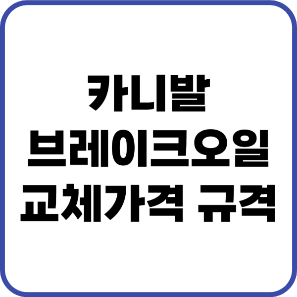 카니발 브레이크오일