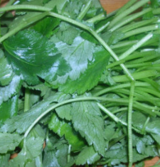 취나물 효능 부작용 칼로리 고르는법