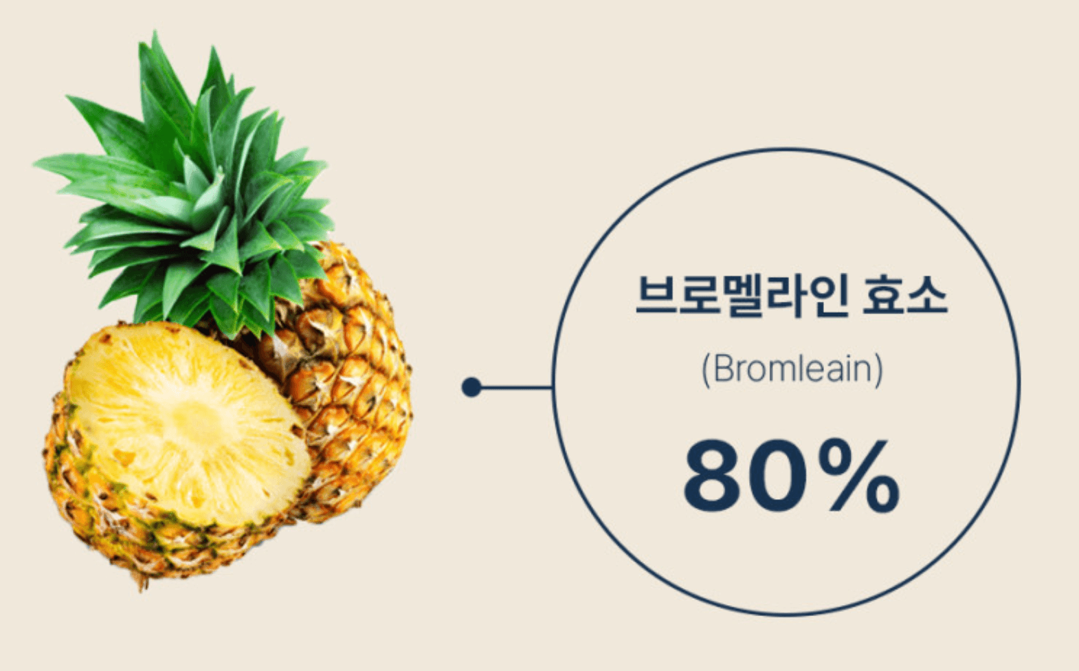 비문앤 파인애플