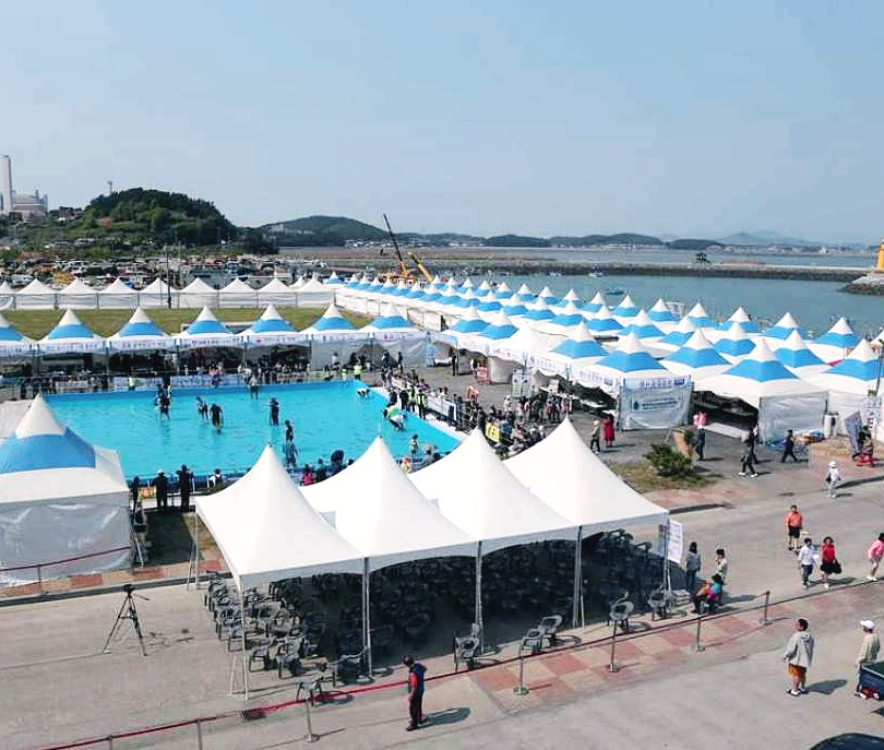 서천 자연산 광어 도미 축제 기본정보