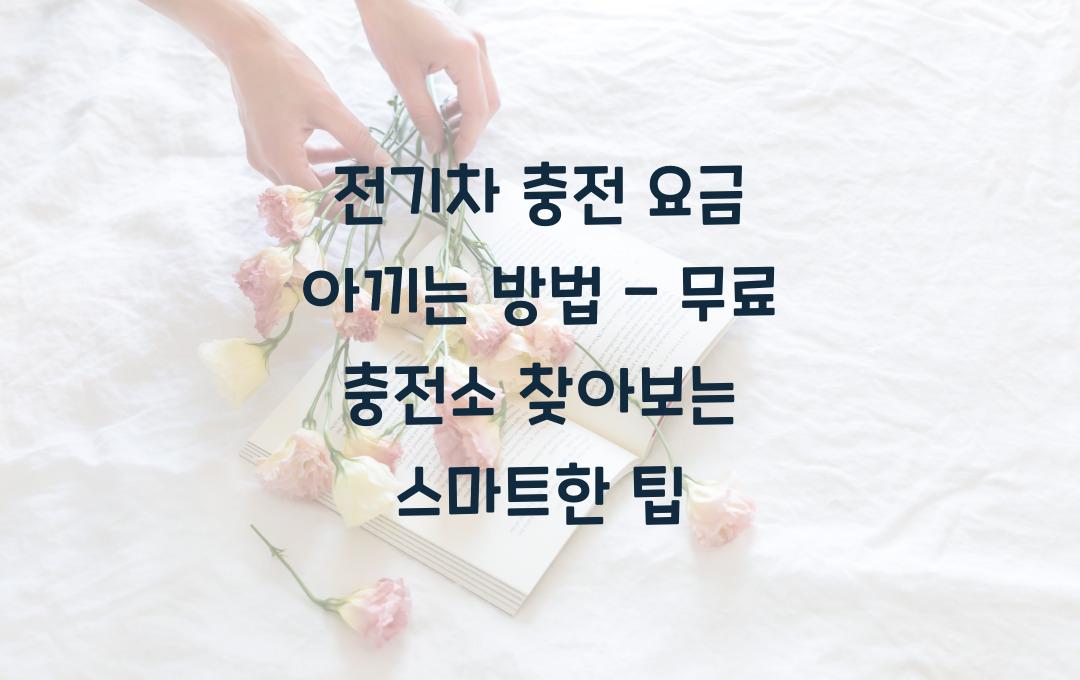 전기차 충전 요금 아끼는 방법 - 무료 충전소 찾는 법