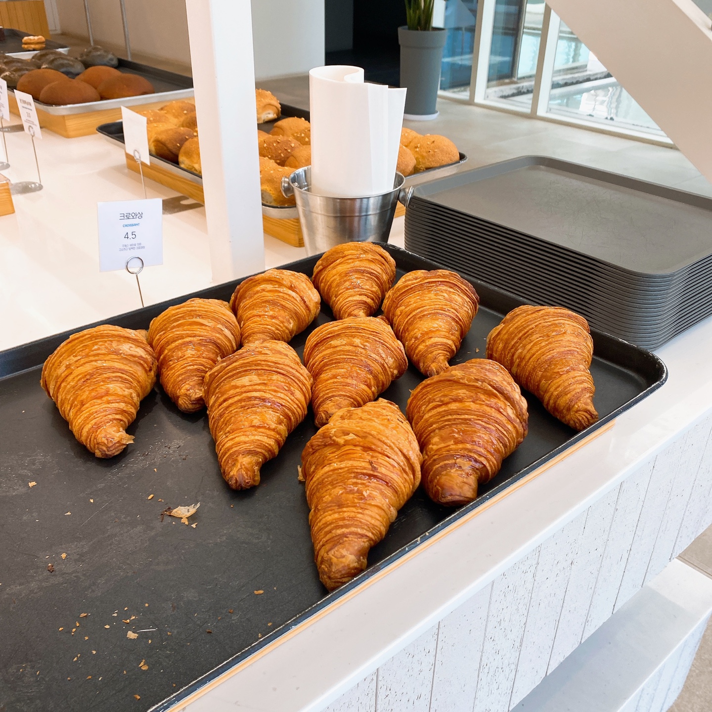 제주 구좌 김녕해수욕장 카페 델문도 김녕점