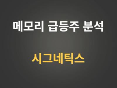 시그네틱스 HBM