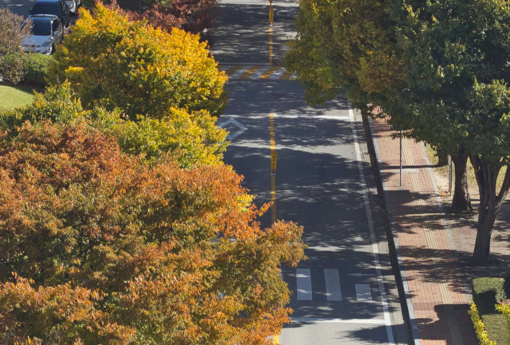 한국의 근현대 건축물