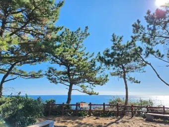 제주도 서귀포 남원 큰엉해안경승지 한반도 지형 포토존과 여행 꿀팁으로 정리_7