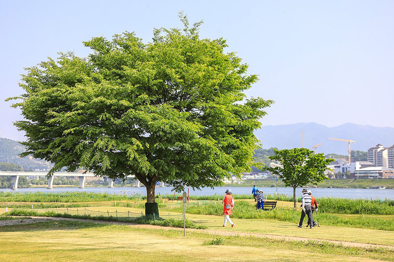 양평파크골프장 63홀 + 양평장애인파크골프장 18홀