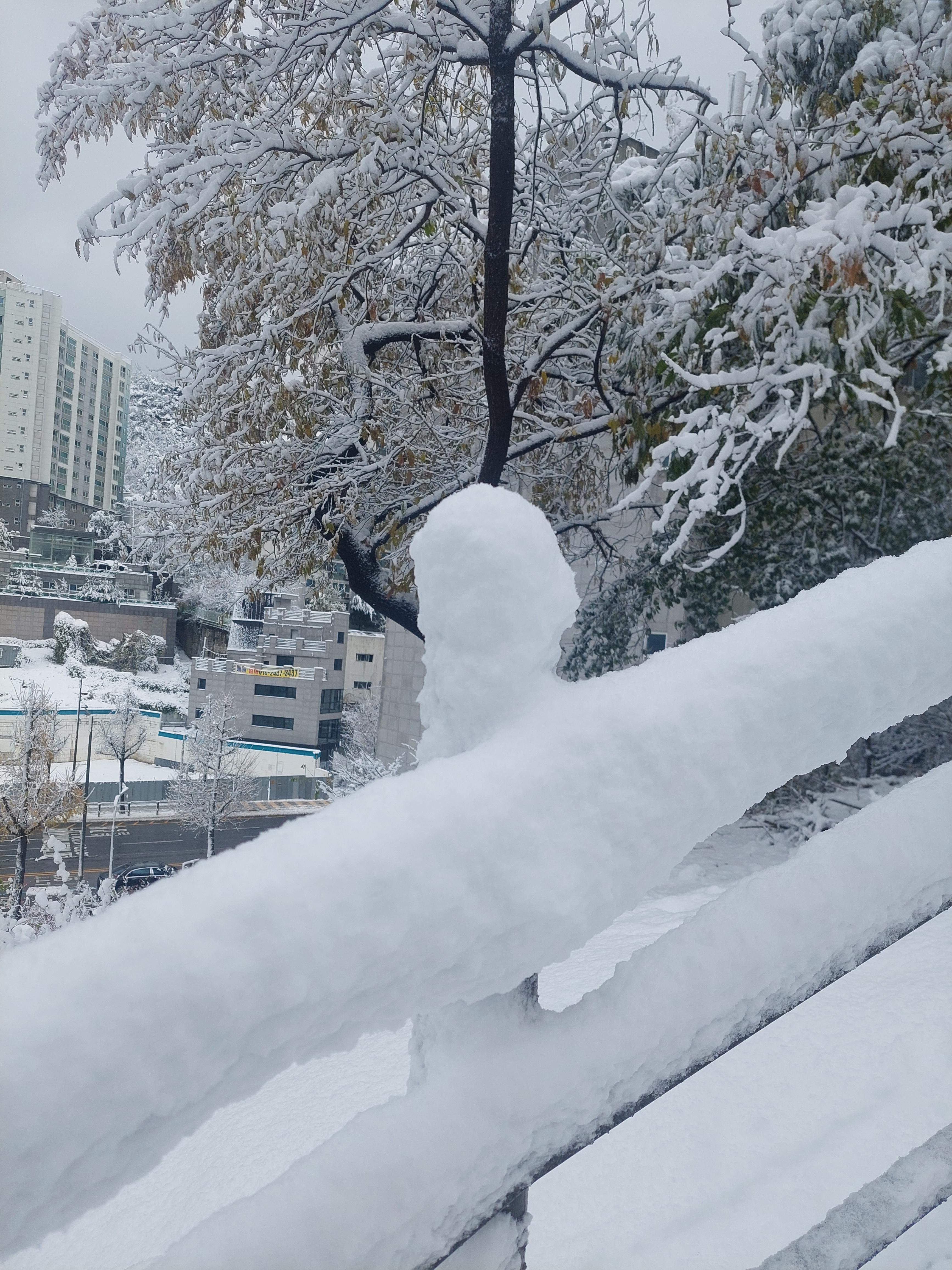 백련산안산