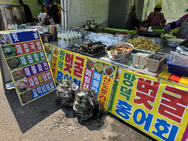 광양 매화축제 개화상황 실시간 사진 입장료
