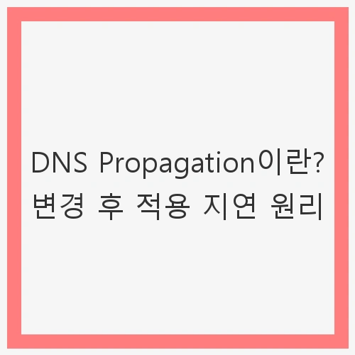 DNS의 중요성