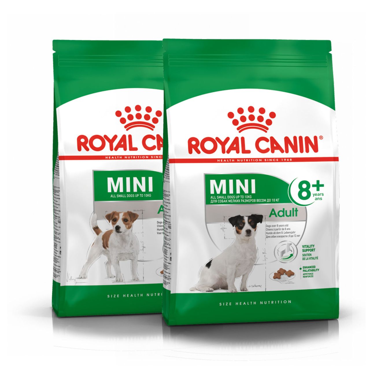 애견 사료, 단순한 먹이를 넘어선 과학과 사랑의 결정체