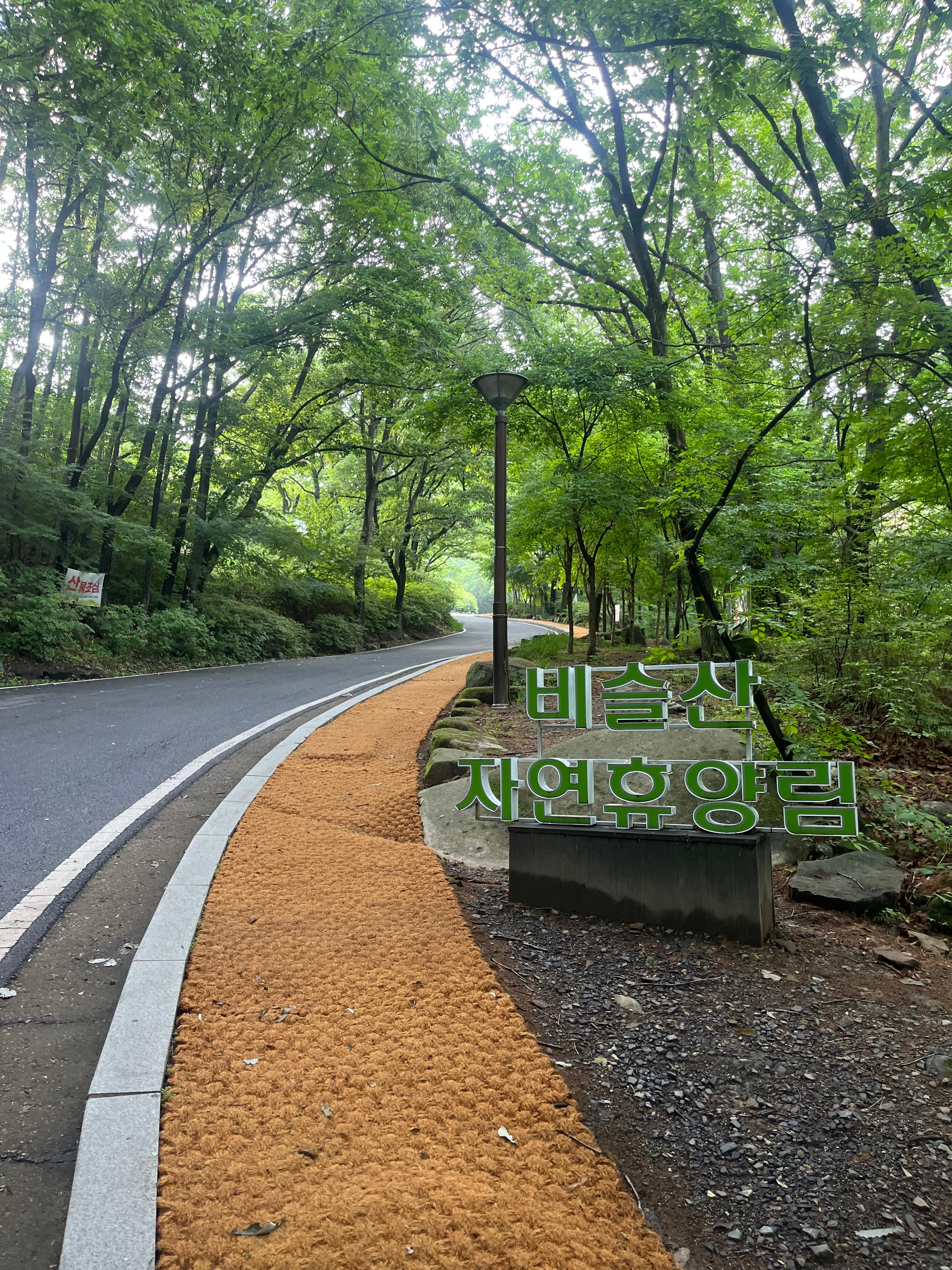 비슬산자연휴양림