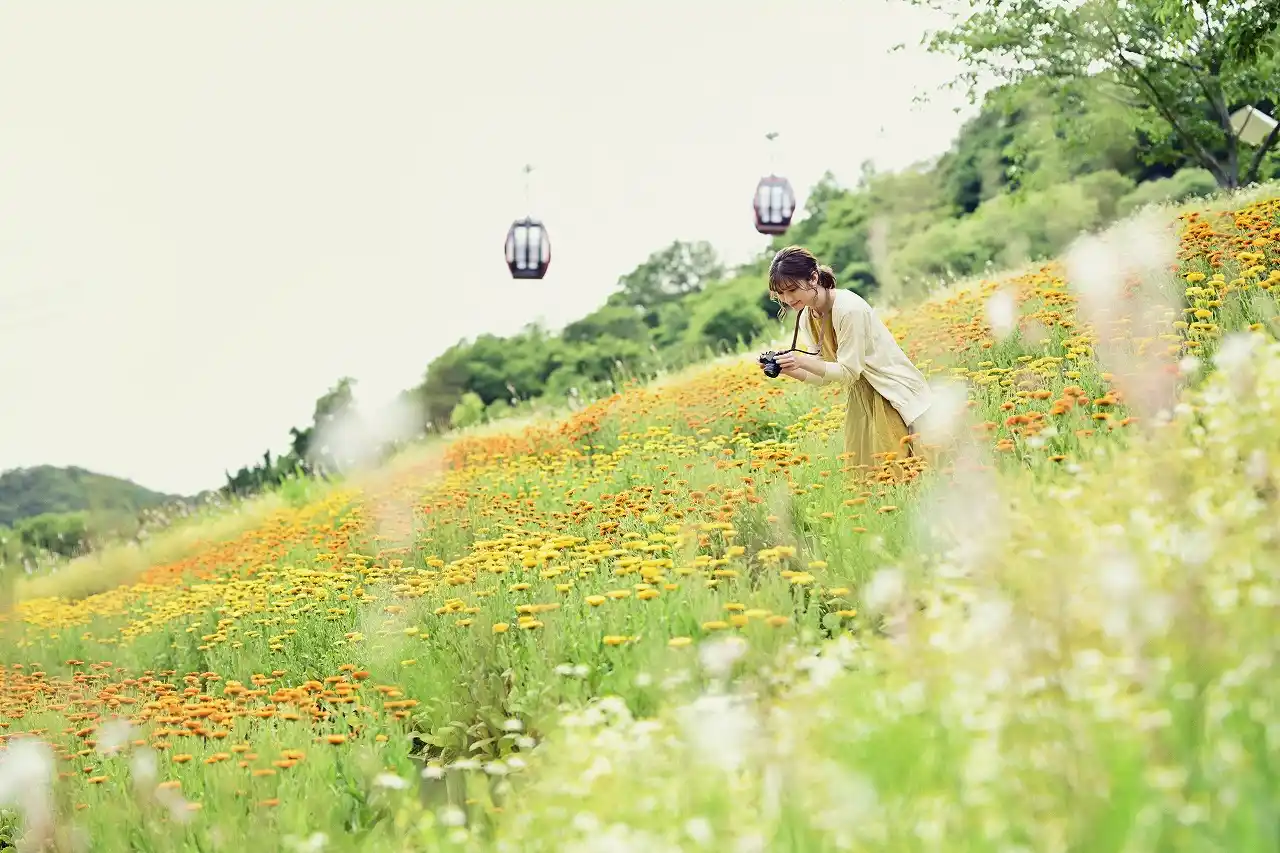 고베 누노비키 허브정원/로프웨이 (神戸布引ハーブ園／ロープウェイ)