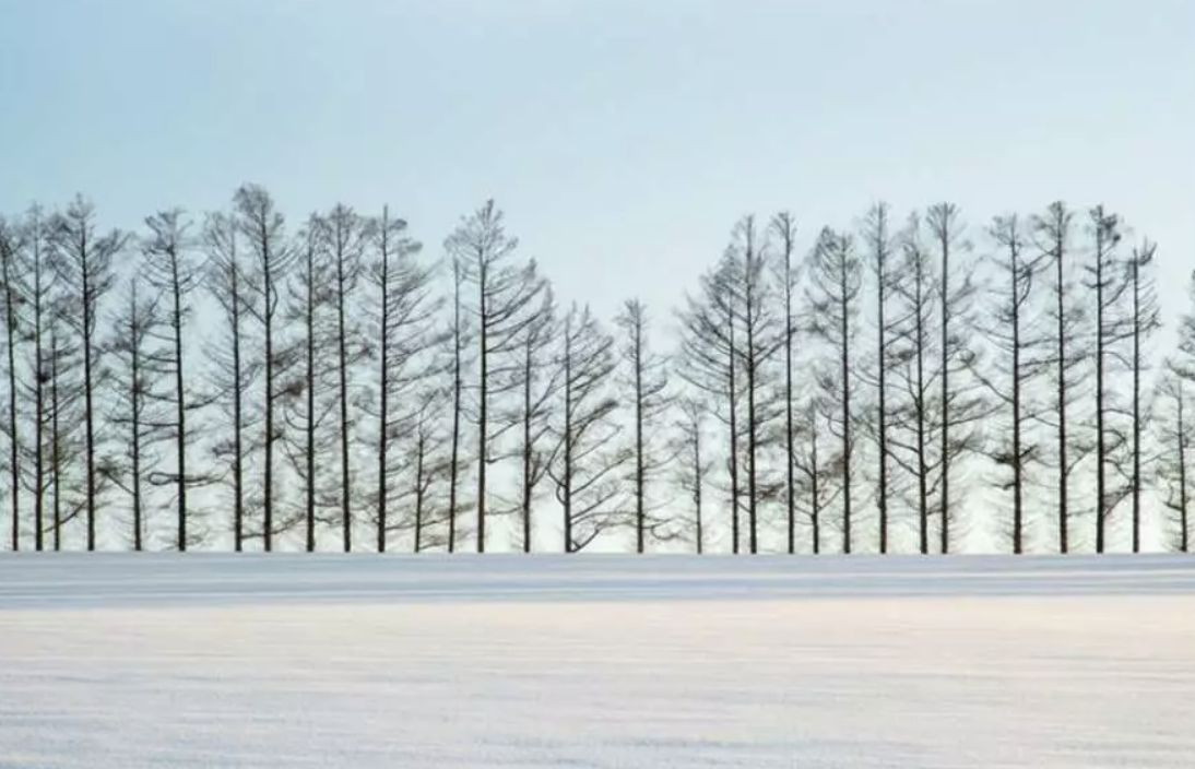 11월 트립닷컴 할인코드 모두 정리 호텔 항공 15% 할인코드