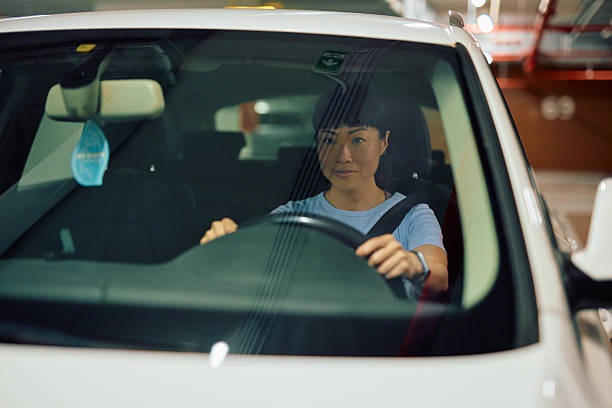 광복절-특사-운전면허-특별사면