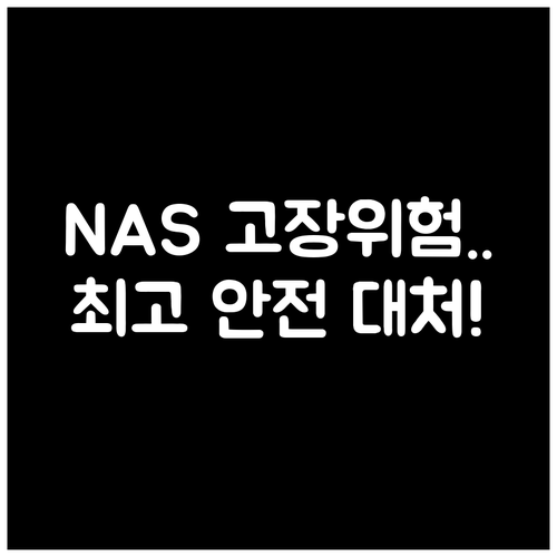 NAS 배드 섹터 발생 시 가장 안전..