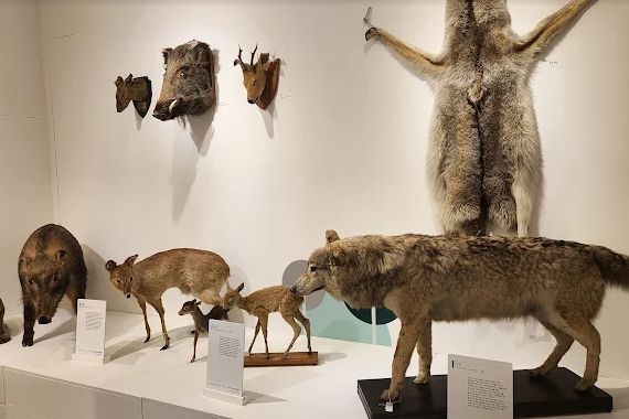 경북대학교 자연사박물관