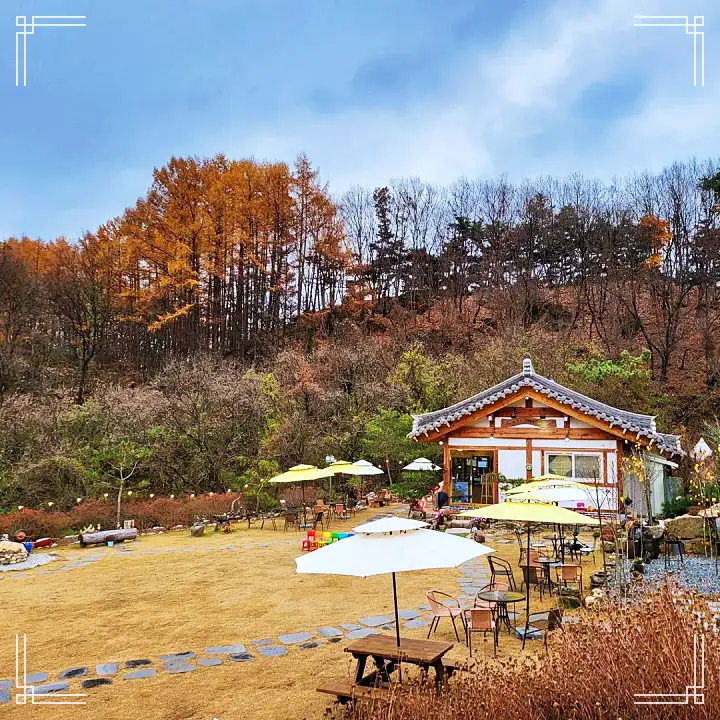 괴산 가게 커피 & 디저트 우리 집을 소개합니다 60년을 기다린 따뜻한 한옥 카페 맛집 추천