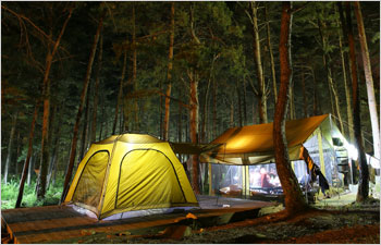 무릉계곡 캠핑장