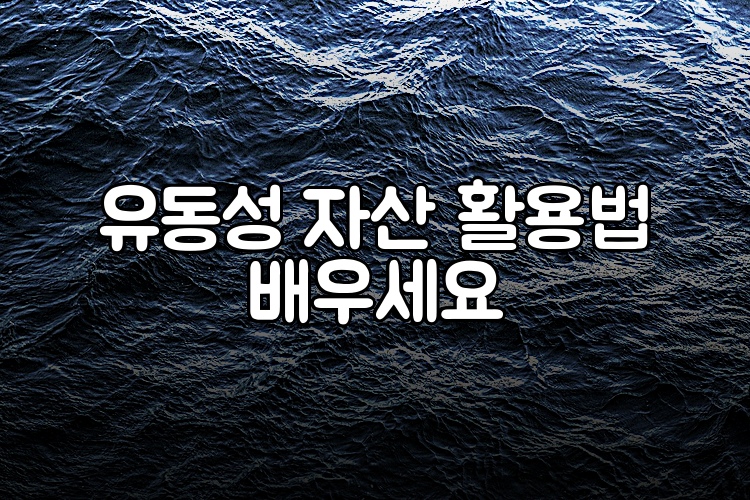 유동성 자산 활용법 배우세요