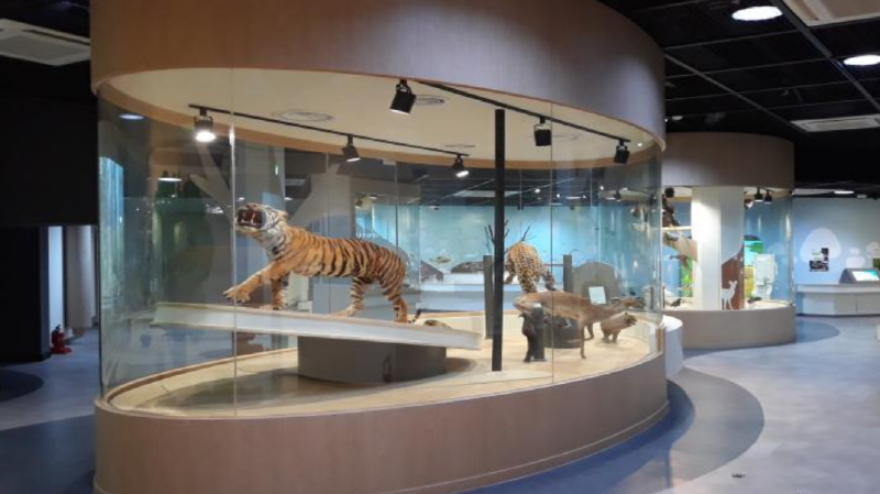 만인산 자연휴양림