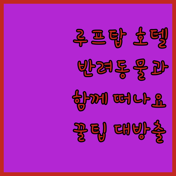 루훠 보다라 테마 호텔 반려동물과 함