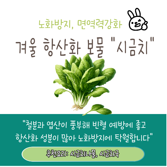 11월 12월 제철음식 추천