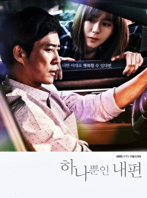 하나뿐인-내편