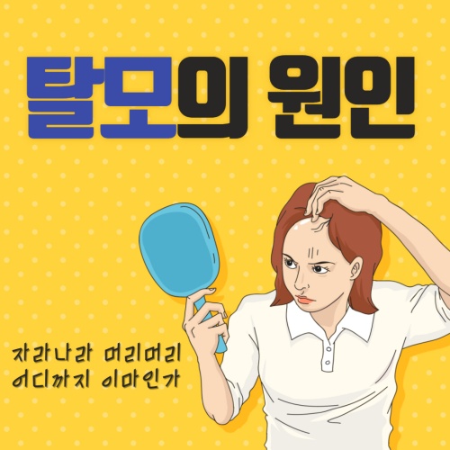 탈모의 원인