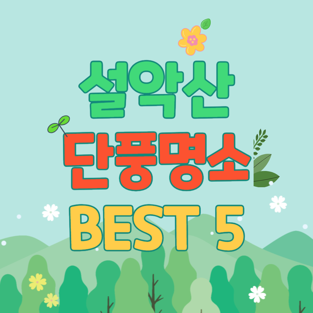 설악산 인기 코스라고 써있는 그림