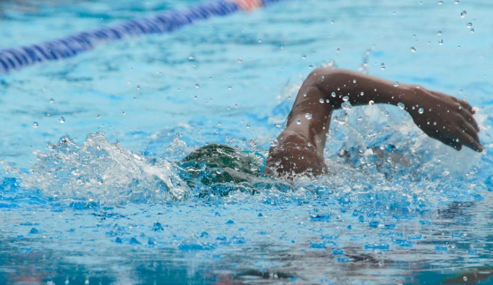 비만 예방 원인 증상