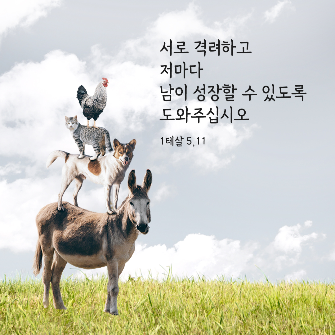 서로 격려하고 저마다 남이 성장할 수 있도록 도와주십시오. (1테살 5,11)