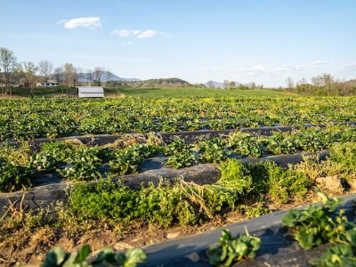 경기도 조상땅 찾기 신청방법 경기도신청 방법 조회