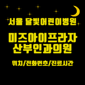 서울 달빛어린이병원_ 미즈아이프라자산부인과 위치, 전화번호, 진료시간