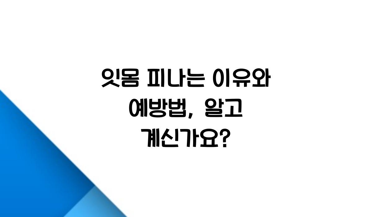 잇몸 피나는 이유