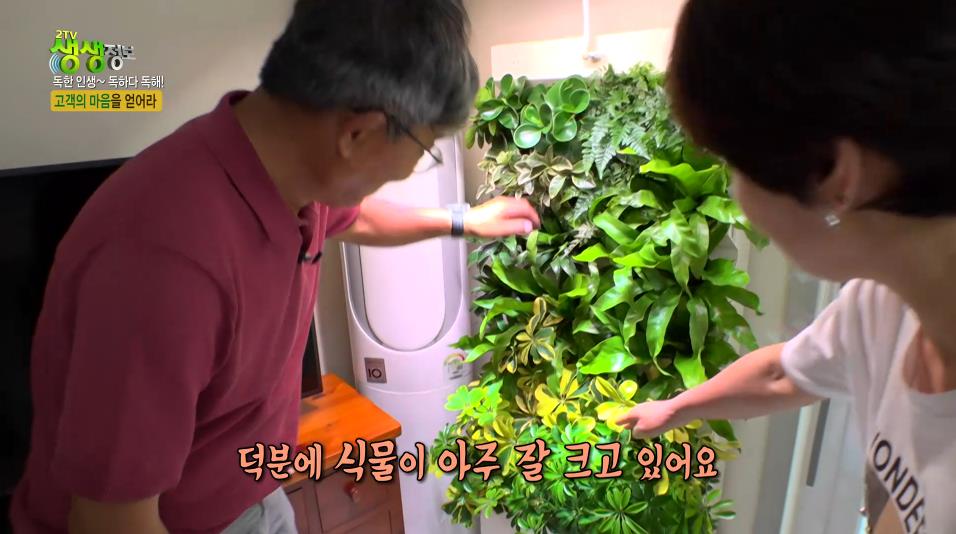 생생정보스페셜 수직정원