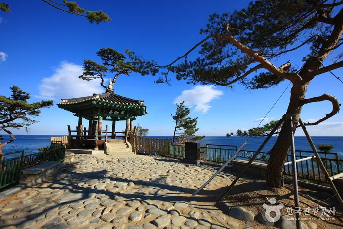 강원 양양 낙산사 해돋이 사진 