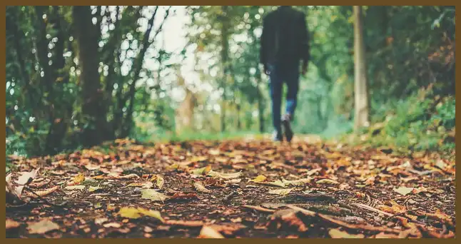 서울 근교 단풍 명소 (지금이 단풍 절정시기)