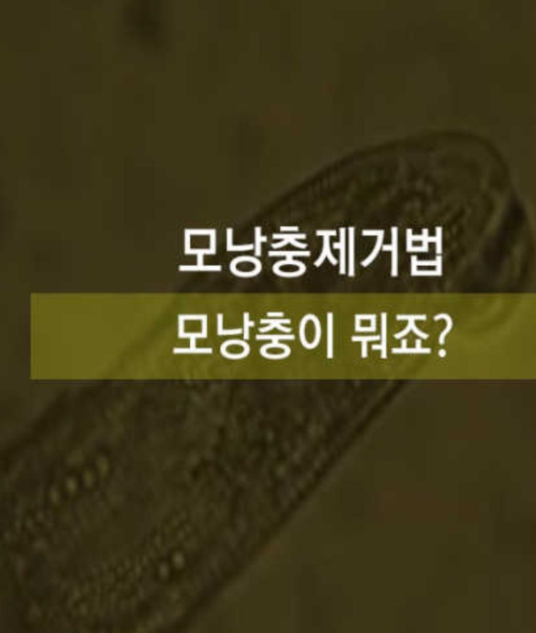 모낭충제거방법