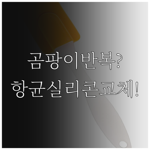 실리콘 곰팡이 반복 생길 때 항균 실..