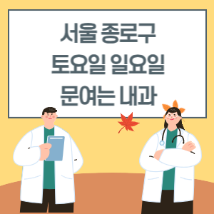 서울 종로구 토요일 일요일 내과 진료 병원 리스트