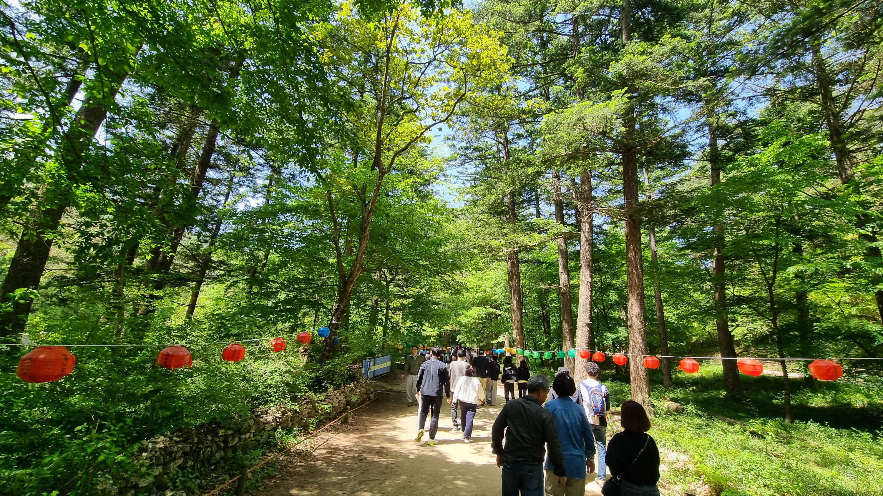 내소사전나무숲길