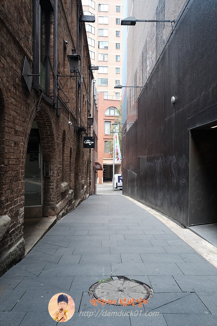 2024년 12월 19일 시드니