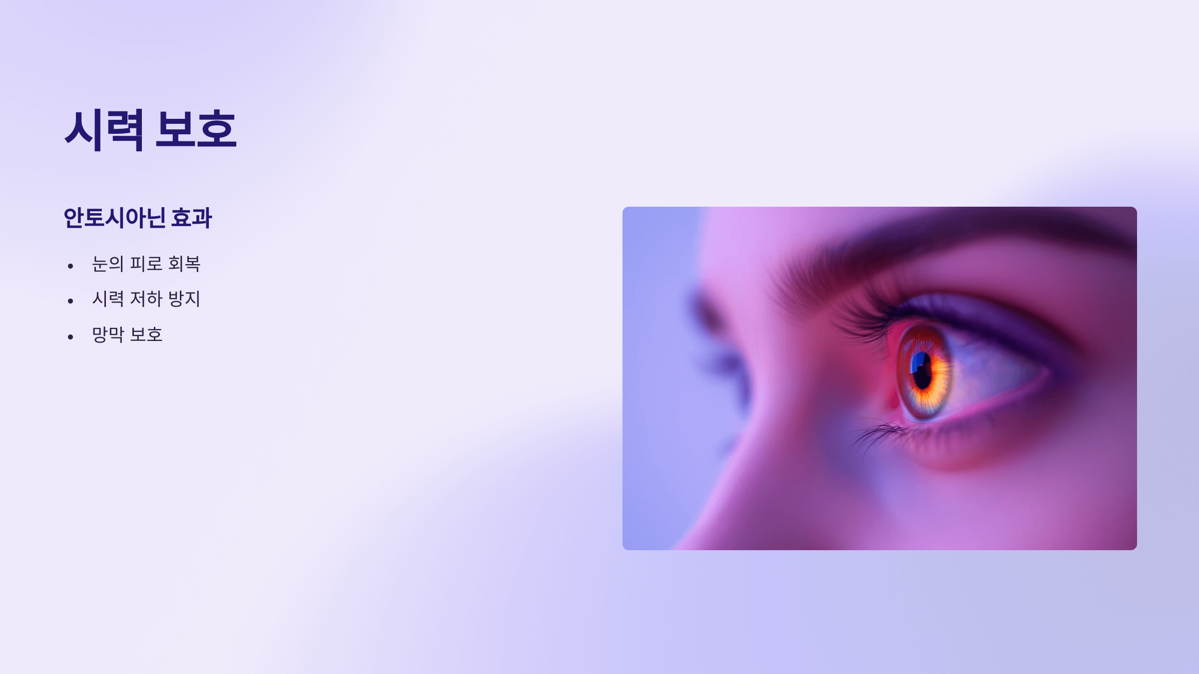 오디 사진입니다.