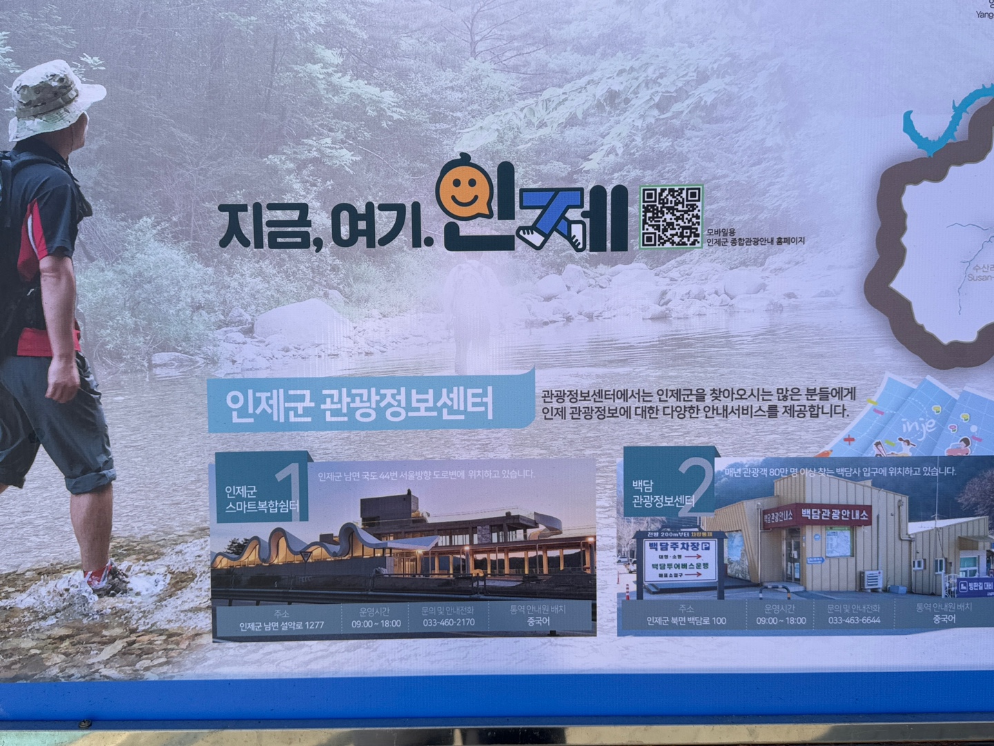 인제 자작나무숲