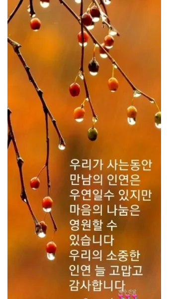 명언 인사말 예시 모음 카톡_6
